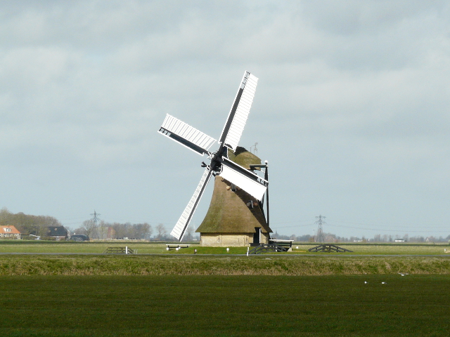 P1300891huins_z