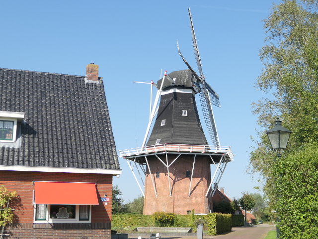 P1310285niebert_z