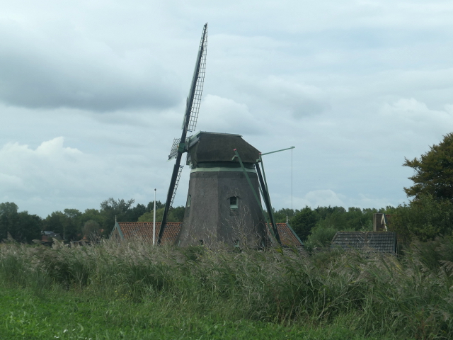 P1310391oudeniedorp_z
