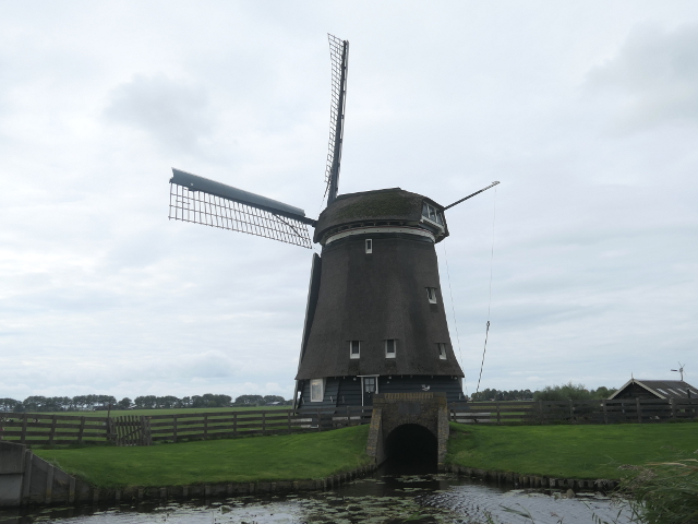 P1310402heerhugowaard_z