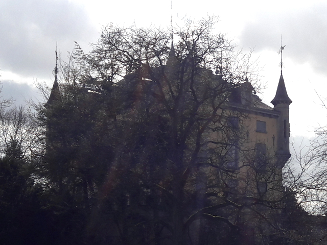 20200314_141756gronsveld_z