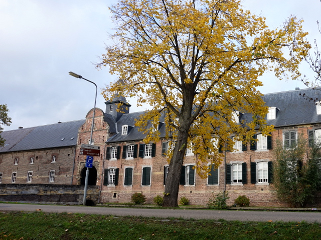 DSC07534wijnandsrade_z