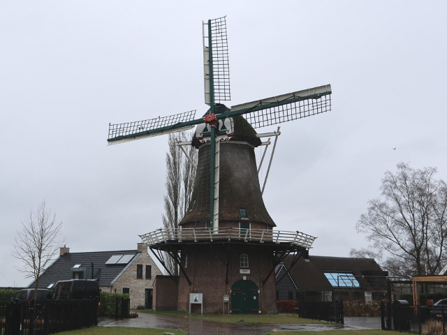 IMG_0123zuidbarge_z