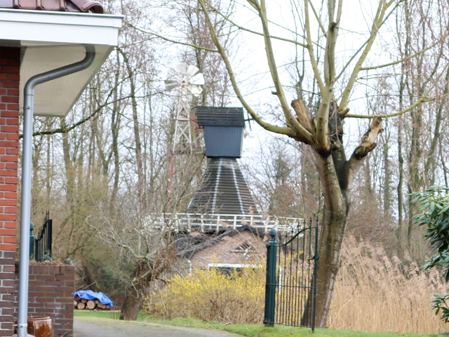 IMG_0147wedderveerspinnenkop_z