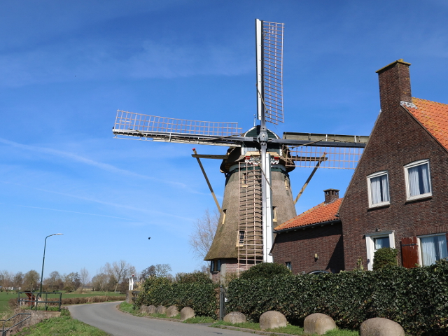 IMG_0290nigtevecht_z