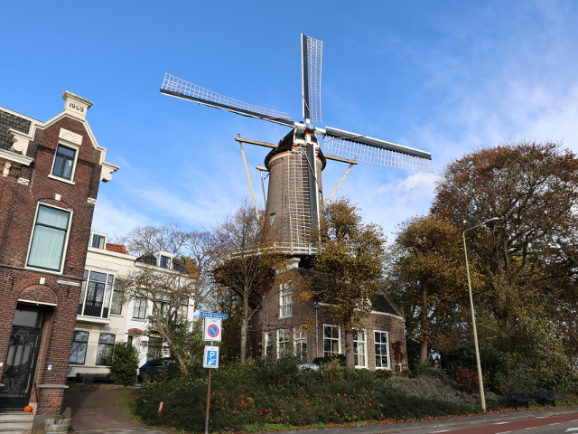IMG_5921gouda_z