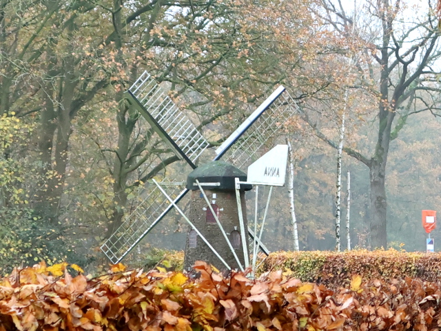 IMG_6790veldhoven_z