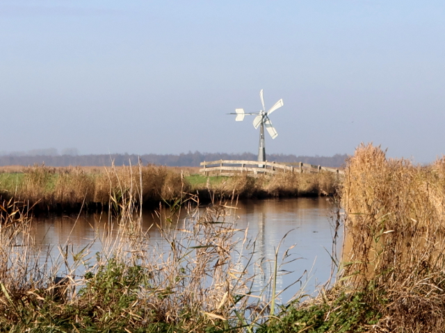 IMG_6904landsmeer_z