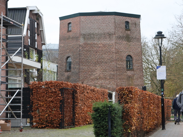 IMG_7257hengelo_z