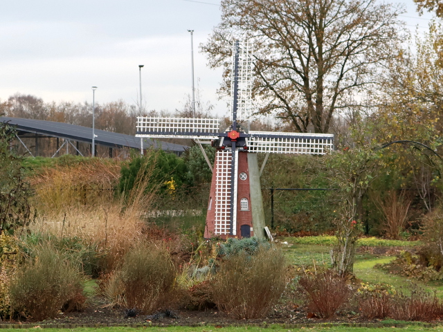 IMG_7261borne_z
