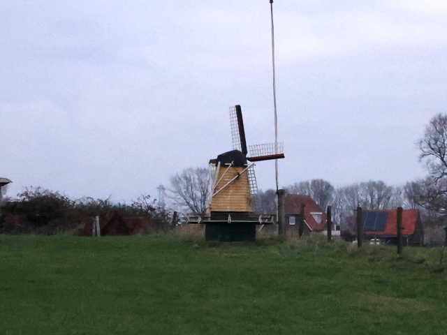 IMG_7306nieuwwehl_z