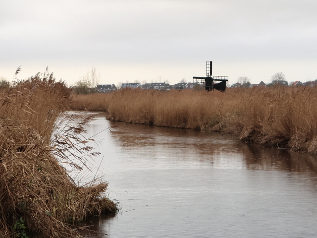 IMG_7366koogaandezaan_z