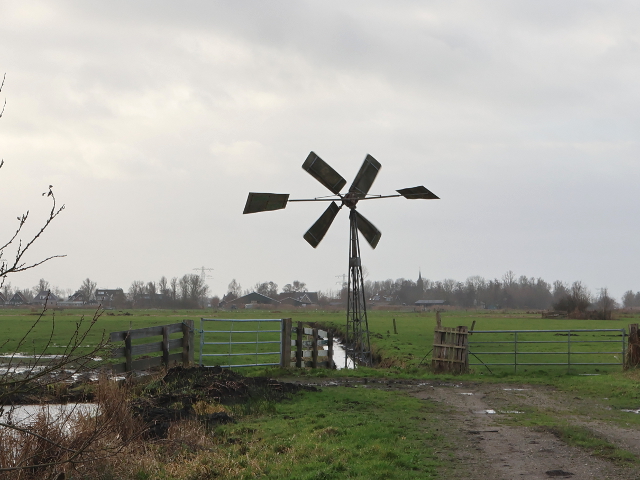 IMG_7520uitgeestwoudpolder_z