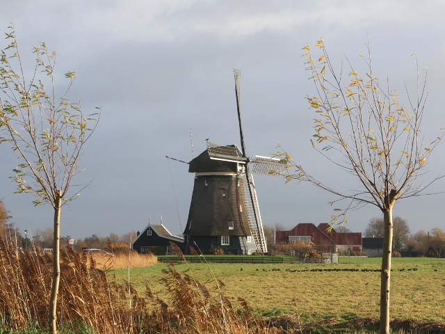 IMG_7531uitgeest_z