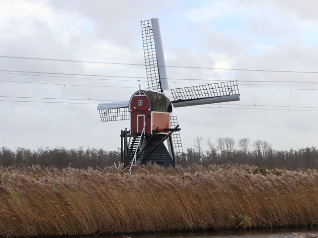 IMG_7552lisse_z