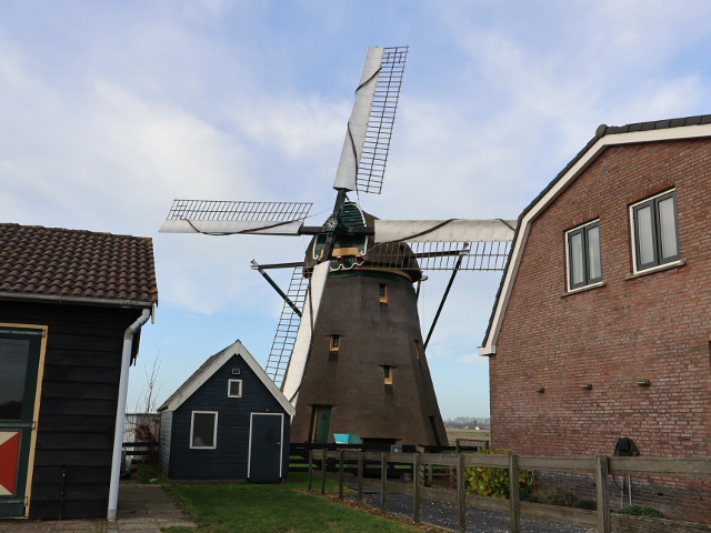 IMG_7555noordwijkerhout_z