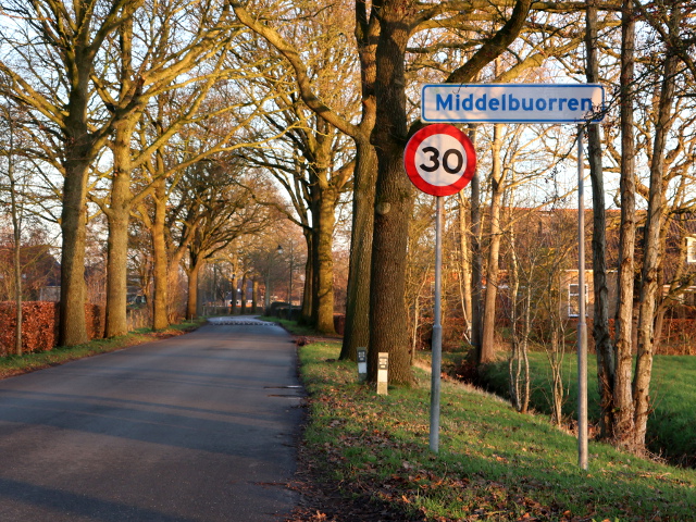 IMG_7737middelbuorren_w