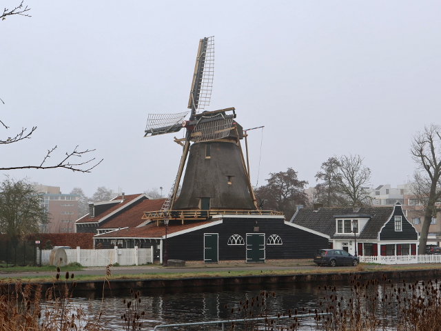IMG_7857amsterdam_z
