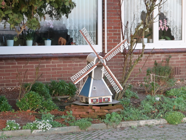 IMG_7961elst_z