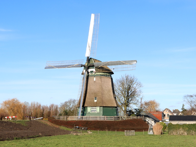 IMG_8712hensbroek_z