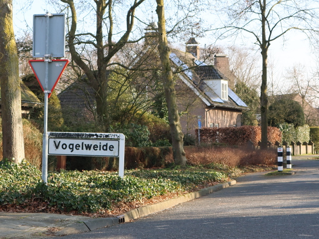 IMG_9424vogelweide_w
