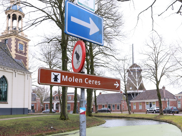 IMG_9487spijk_z