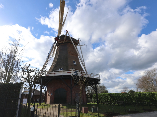 IMG_9748goor_z