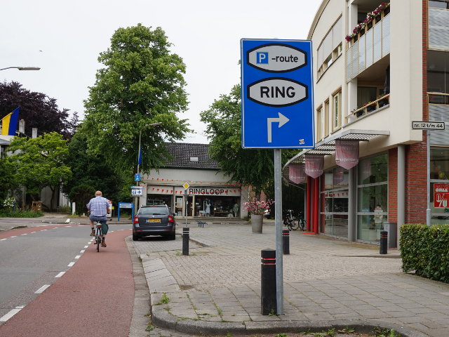 DSC00050pringepe