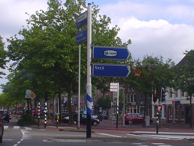 DSC00066proutpurmerend