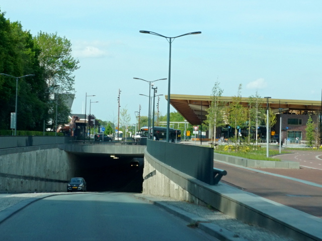 DSC00337ringassen
