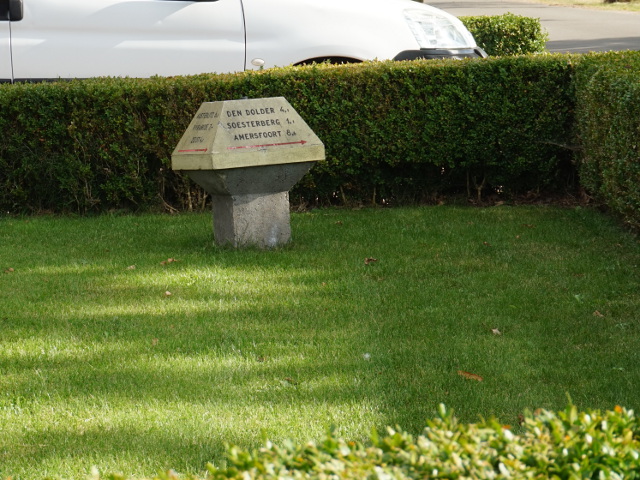 DSC03244nieuwedieppaddenstoelinvoortuin