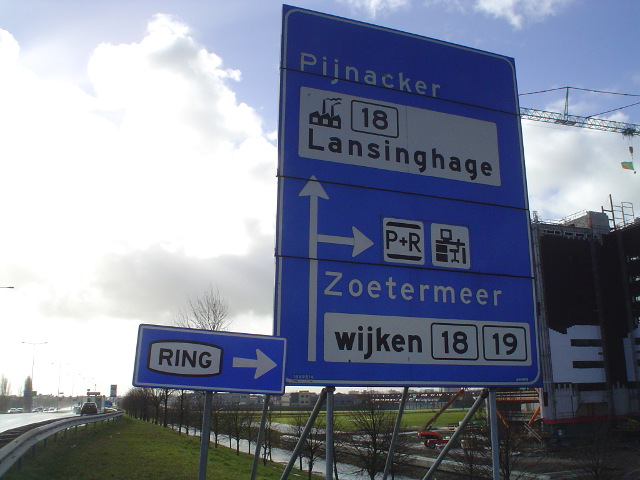 DSC03664ringzoe