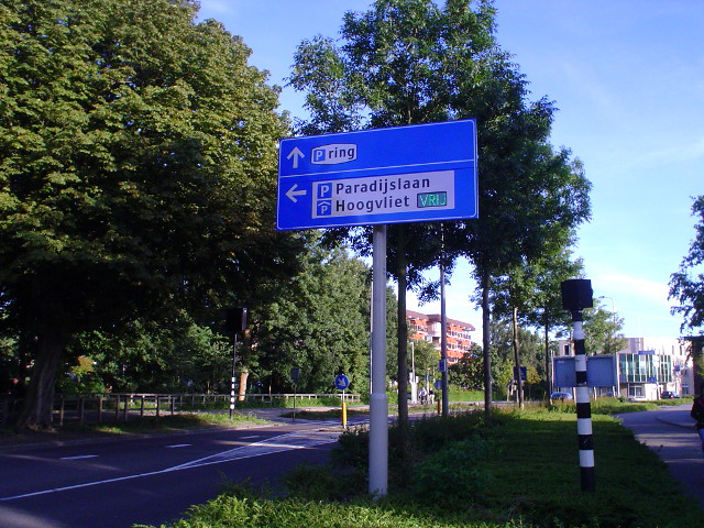 DSC04979pringalphen1