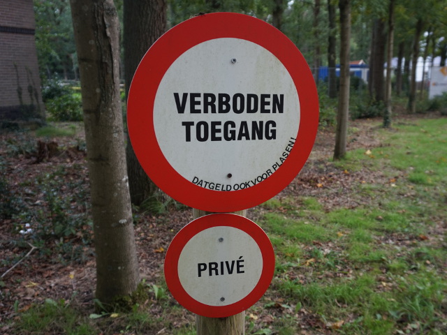 DSC06094hoenderloodatgeldookvoorplasen