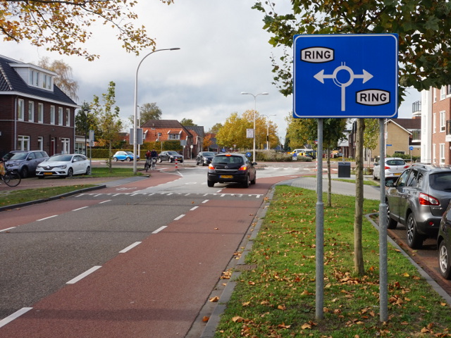 DSC07130ringrijssen