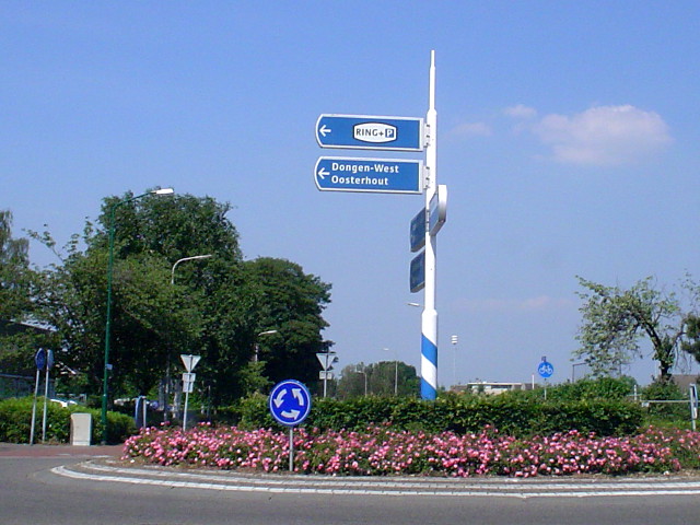 DSC07201pringdongen