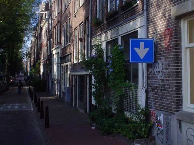 DSC08221amsneer