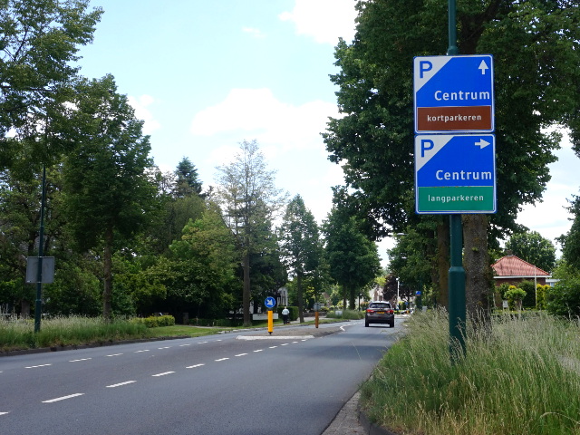DSC08709psintoedenrode