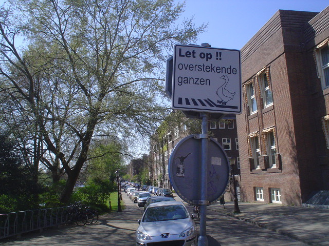 DSC09558asdganzen