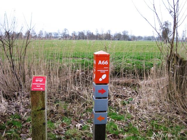 a66hankate