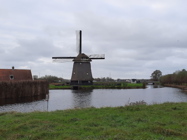 20241113_154911alkmaar_z