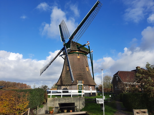 20241117_125151warmond_z