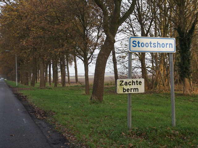 DSC06413stootshorn_w