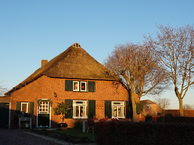 DSC07124haren_z