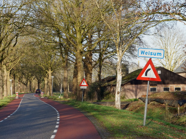 DSC07179welsum_w