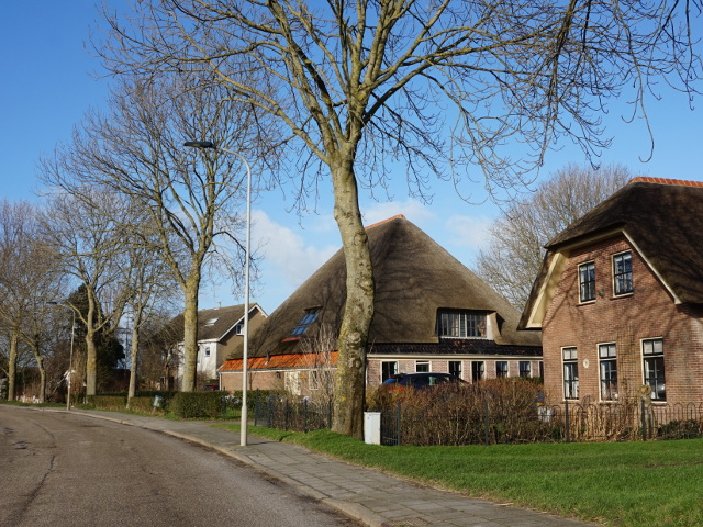 DSC07611stroet_z