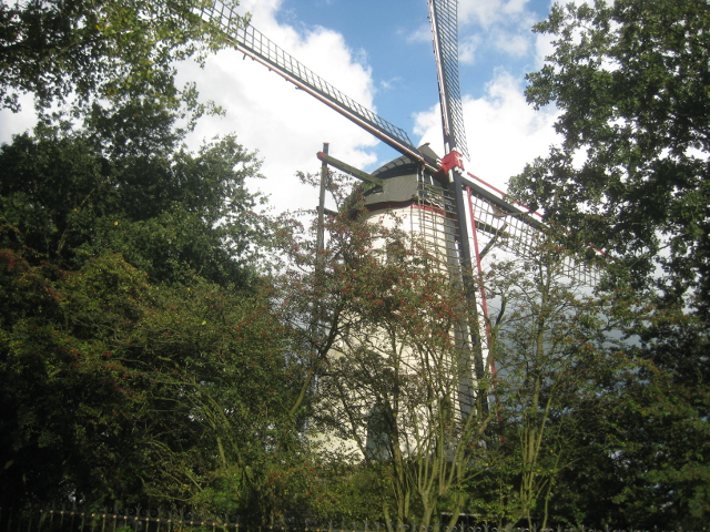 IMG_2343stmichielsgestel_z