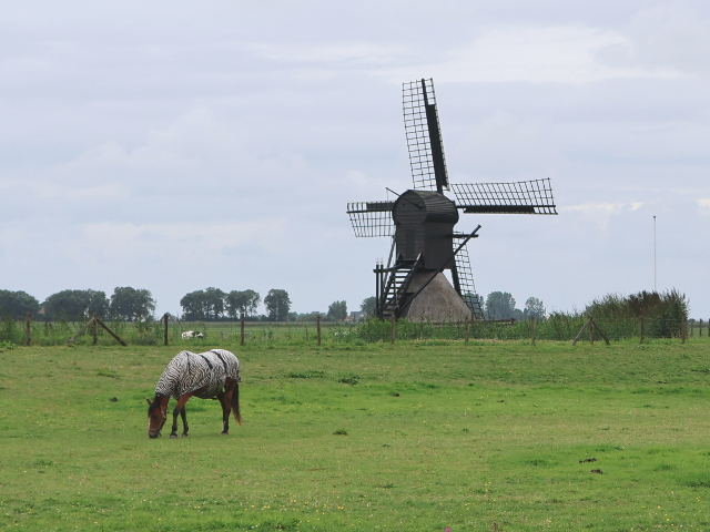 IMG_2478nijhuizum_z