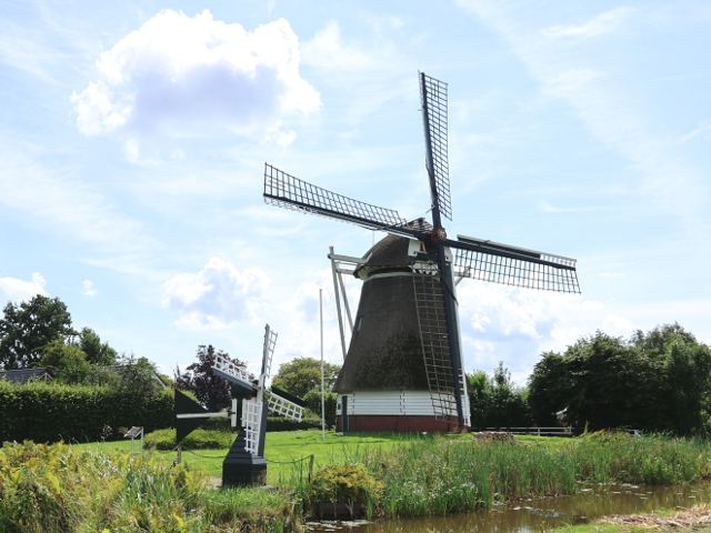 IMG_2491froombosch_z