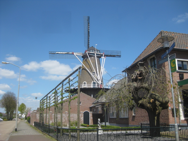 IMG_6756benedenleeuwen_z